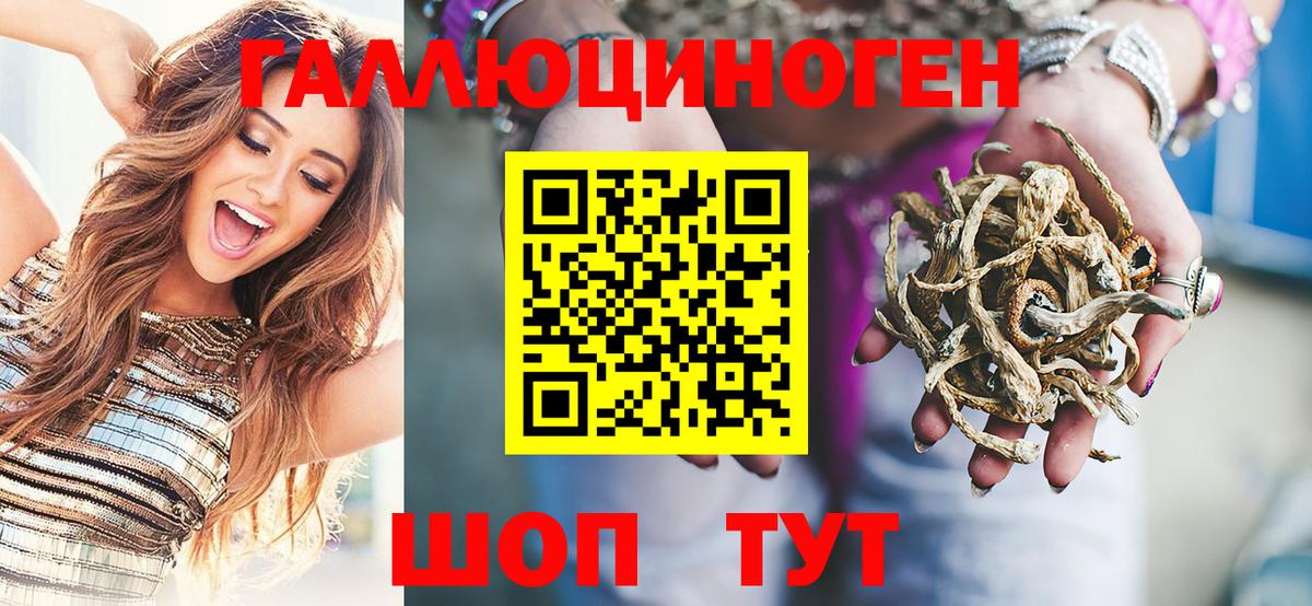 Псилоцибиновые грибы Psilocybine cubensis Среднеуральск